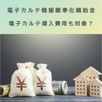 電子カルテ情報の標準化補助金|電子カルテ導入時の費用も補助対象?