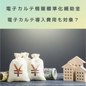 電子カルテ情報の標準化補助金|電子カルテ導入時の費用も補助対象?